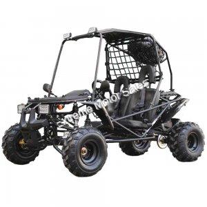 Pathfinder DF200GSX 200cc Go Cart Go Kart Off Road Dune Buggy Large