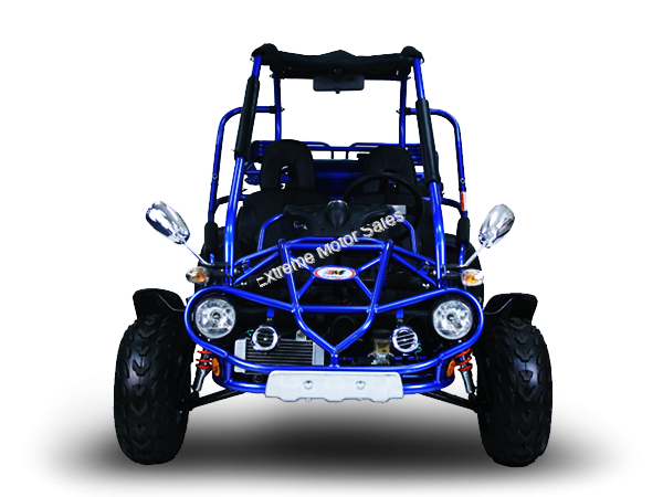 300 xrx go kart