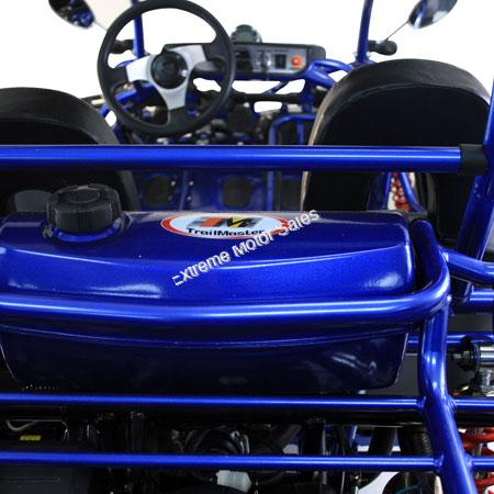 trailmaster 300cc xrx gokart