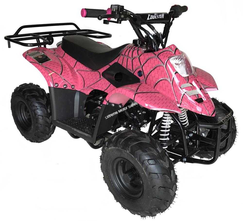 Kids 110cc Panther Youth ATV Quad 4 Wheeler MINI All Terrain Vehicle