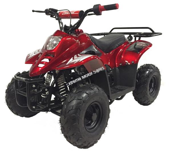 Kids 110cc Panther Youth ATV Quad 4 Wheeler MINI All Terrain Vehicle