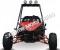 RAIDER 125cc Kids Go Cart Go Kart Dune Buggy 2 Seater