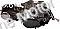 Coolster 125cc 4-stroke Engine |Manual Transmission | QG-214