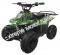 Panther Kids 110cc ATV  Youth Quad With Parent Remote Control