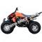 Snake Eyes 3150CXC 150cc ATV Full Size Sport QUAD Kids Automatic