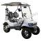 Massimo MGC2 48v Electric Vehicle Golf Cart Electric- 2 Seat