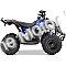 MotoTec Renegade 40cc 4-Stroke Kids Gas ATV | Small Quad