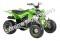 Pentora 125cc EFI ATV Kids Quad Automatic with Reverse 4 Stroke Gas