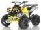 Apollo Sport Trax Kid 125cc ATV Utility Style Quad Kids Automatic 4 Wheeler