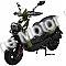 Amigo Warrior 150cc Gas Scooter Moped 4 Stroke USB CA Approved