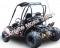 Trailmaster Blazer 200 Go Kart Go Cart Full Size Adult Buggy