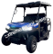 Crossfire 200 EFI 200cc SXS UTV Golf Cart Neighborhood Vehicle