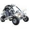 Tiking Tk200gk-10 200cc Go Cart Go Kart Off Road Dune Buggy Large