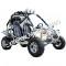 Jaguar 200cc Go Cart Go Kart Off Road Dune Buggy Large Adult Size