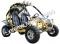 Jaguar 200cc Go Cart Go Kart Off Road Dune Buggy Large Adult Size