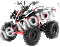 Falcon X 125cc Kids ATV Sport Style Semi Automatic with Reverse