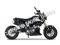Fuerza PMZ125-1 |125cc Motorcycle | 125cc | Mini Moto | Grom Copy