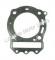 Tank Touring 250cc Scooter Cylinder Head Gasket