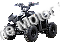 Racer 110cc Kids ATV Quad with Reverse Youth 4 Wheeler