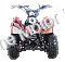 Racer 110cc Kids ATV Quad with Reverse Youth 4 Wheeler