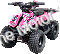 Vitacci RXR-110 Kids 110cc ATV Pink