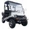 Linahi Yamaha Bighorn 200cc Utility Gas Vehicle