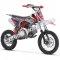TrailMaster TM21 Kids Dirt Bike 125cc Fully Automatic Pit Bike -No Gears