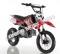 Apollo DB-X4 Kids 110cc Pit Bike Dirt Bike 4 Speed Semi Automatic
