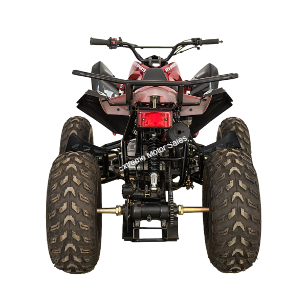 Extreme RPS TK200CS 200cc ATV Quad Full Size Sport 4 Wheeler > Adult