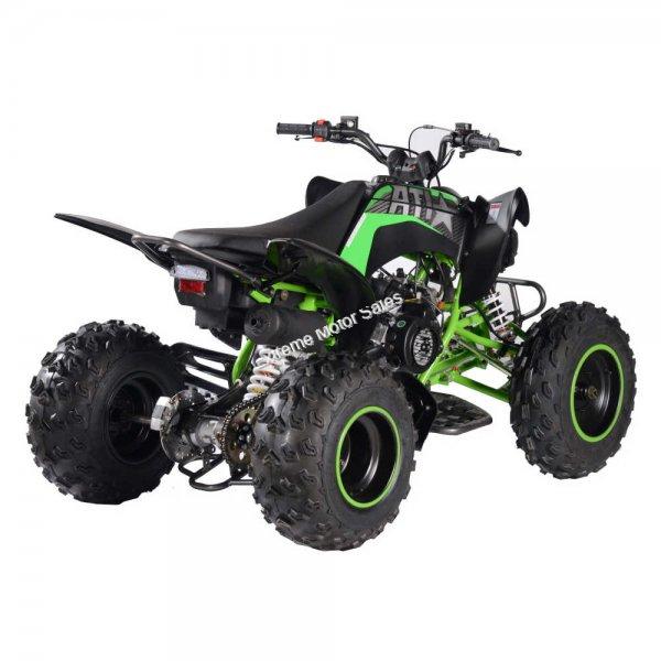 Pentora 200 ATV Fuel Injected Quad > Adult ATV 150cc & Up > Extreme