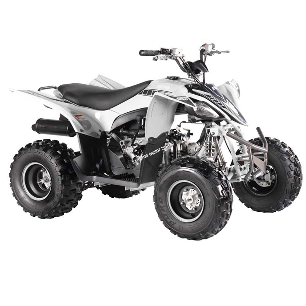 Pentora 125cc EFI ATV Kids Quad Automatic with Reverse 4 Stroke Gas