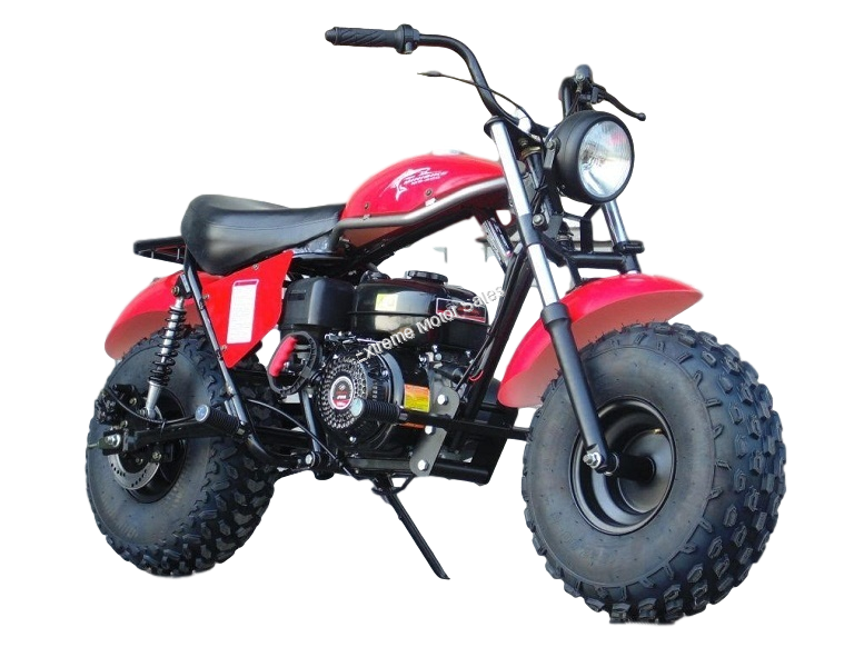 Trail Minibike