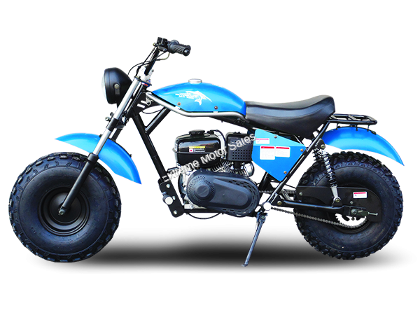 massimo motor mb200
