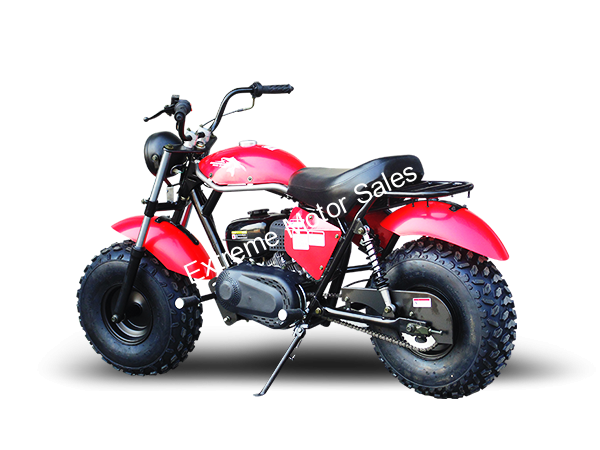 mb 80 mini bike