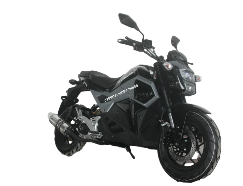 Mini Max PMZ50M1 50cc Scooter Automatic Motorcycle No Shifting > 50cc