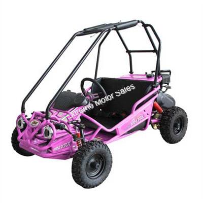 Extreme Motor Sales Kids Go Cart Go Kart Tm Trailmaster Mini
