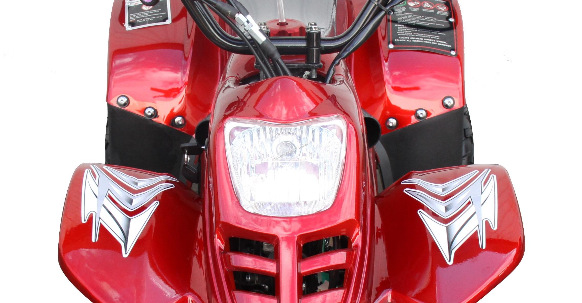 Wiring Diagram PDF: 110 Panther Quad Wiring Diagram Xl