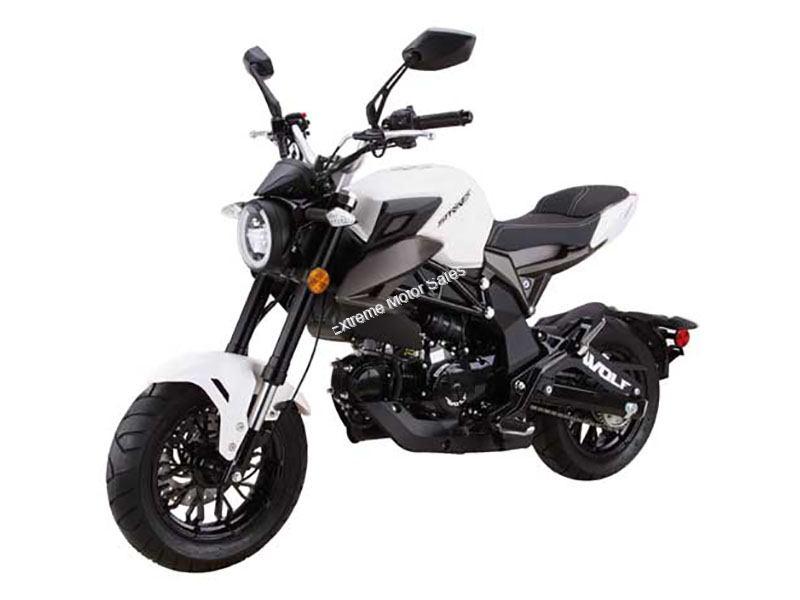 Wolf striker 125cc deals