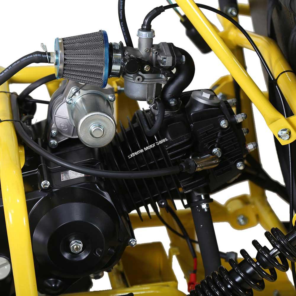 Mini Raptor 125cc Kids Go Cart Go Kart 2 Seat with Reverse > Kids