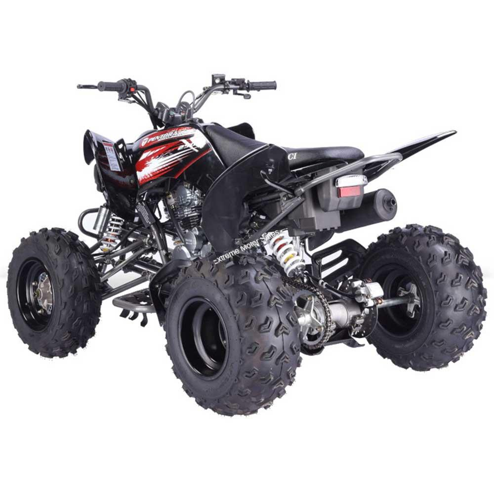 Pentora 250cc ATV Manual Transmission Off Road Quad 4 Wheeler Sport